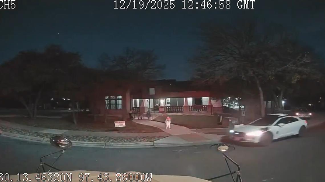 El Distrito Escolar Independiente de Austin insta a Waymo a suspender la circulación de vehículos autónomos cerca de los autobuses escolares tras 24 infracciones. Imagen destacada