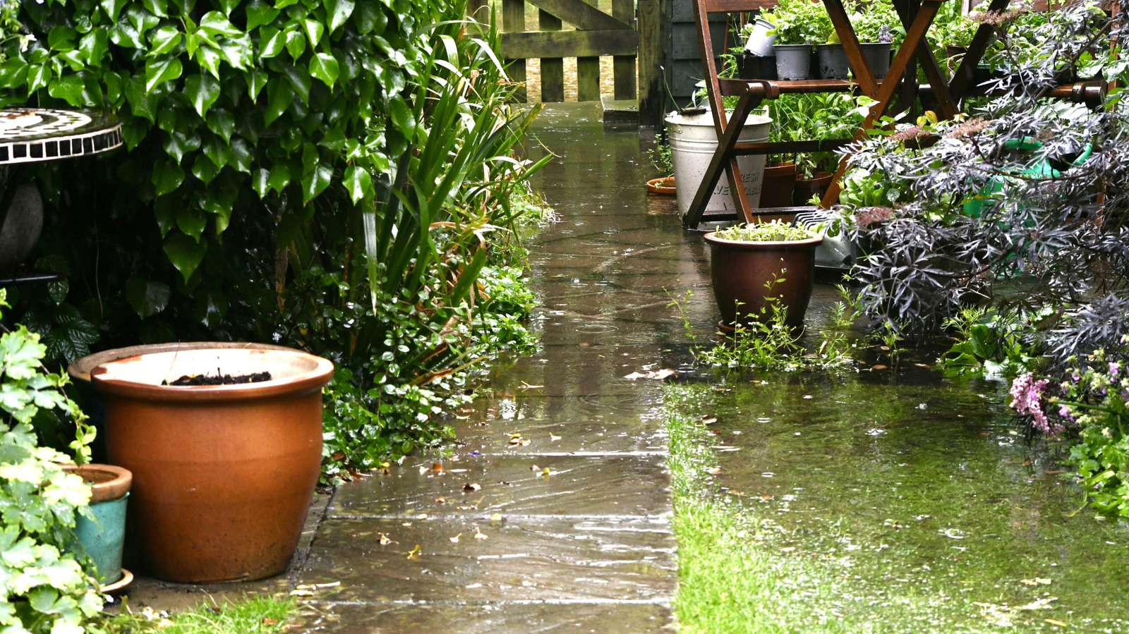 Neighbor’s Flooding Water Ruining Your Yard? Here’s Exactly What To Do About It Featured Image
